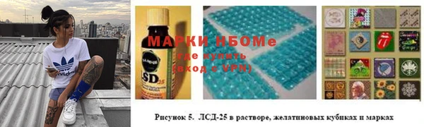 СК Касимов