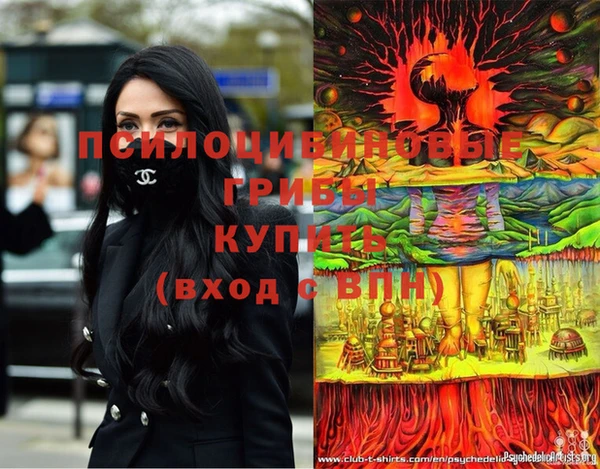 СК Касимов