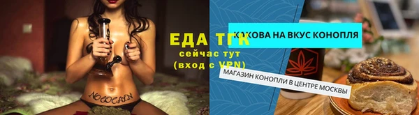 СК Касимов