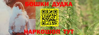 СК Гагарин