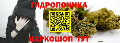 СК Гагарин