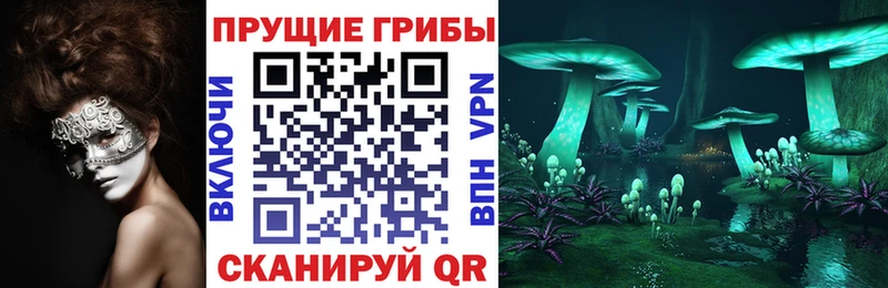 нарко площадка формула  ссылка на мегу вход  Москва  Галлюциногенные грибы Psilocybine cubensis 