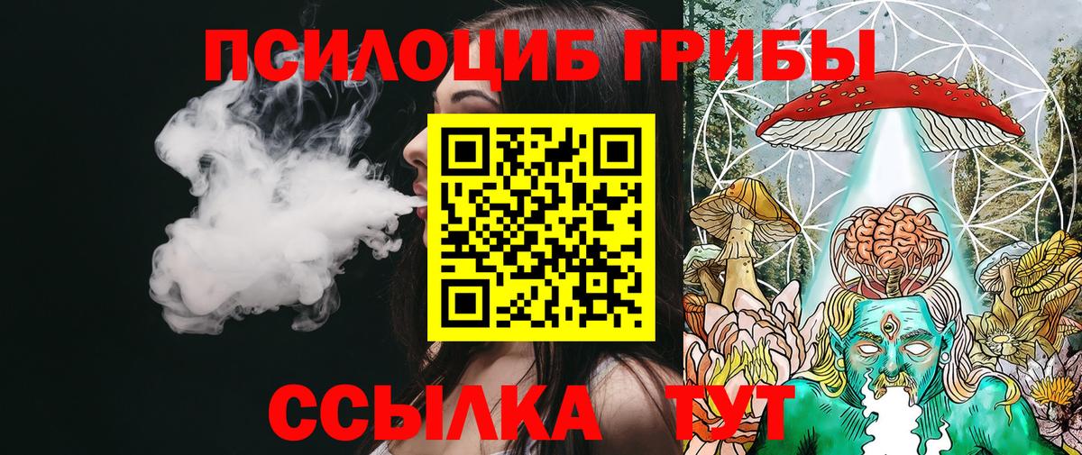 Псилоцибиновые грибы прущие грибы  Вход с VPN  Москва 