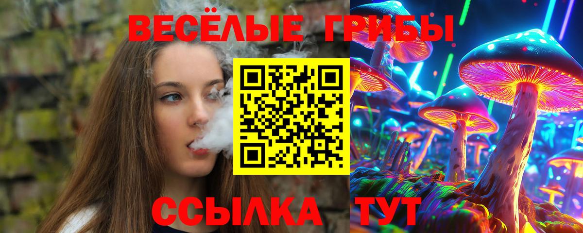 Галлюциногенные грибы мицелий Москва