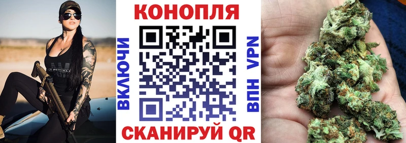 Бошки Шишки VHQ Москва