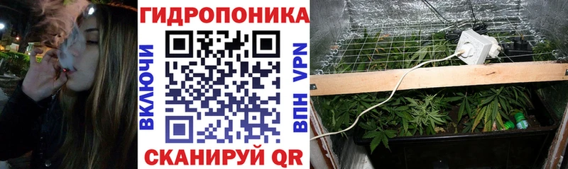 Каннабис White Widow Москва